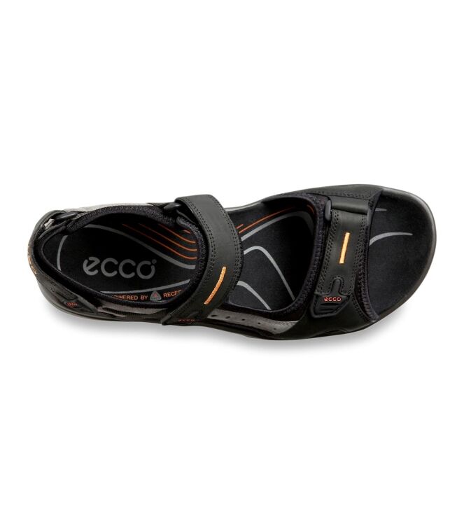 ECCO 06956450034, sandalen Direct leverbaar uit de webshop 