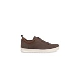 Kleur Beige / Bruin