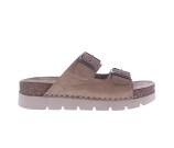 Kleur Beige / Bruin