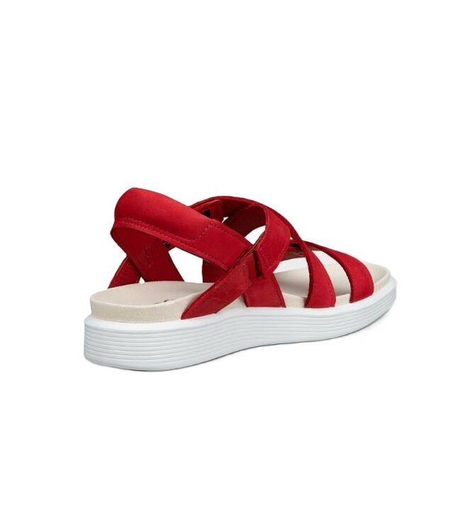ECCO 23881302466, sandalen Direct leverbaar uit de webshop 