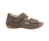 Kleur Beige / Bruin