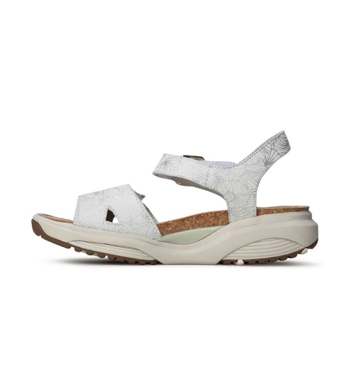 Xsensible Stretchwalker 30320.5.105, sandalen Direct leverbaar uit de webshop 