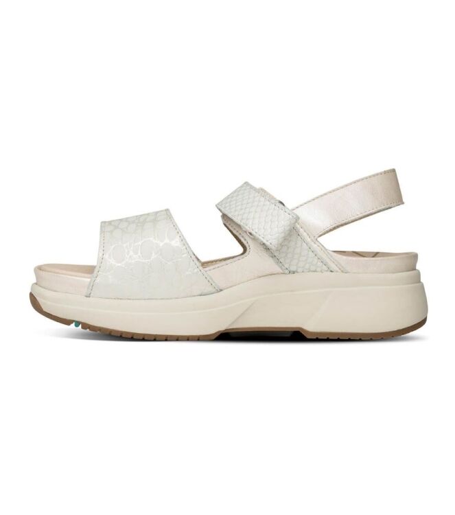 Xsensible Stretchwalker 30700.5.176, sandalen Direct leverbaar uit de webshop 