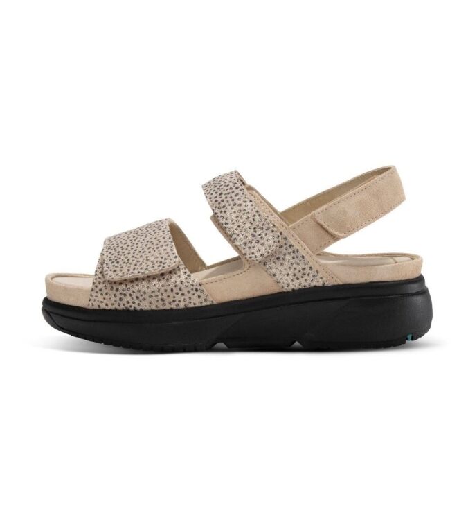 Xsensible Stretchwalker 30700.5.446, sandalen Direct leverbaar uit de webshop 