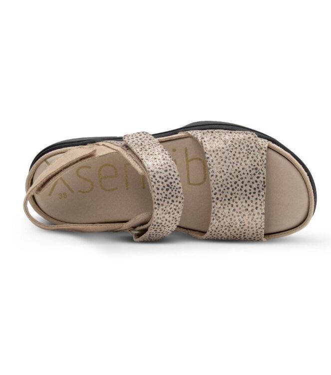 Xsensible Stretchwalker 30700.5.446, sandalen Direct leverbaar uit de webshop 