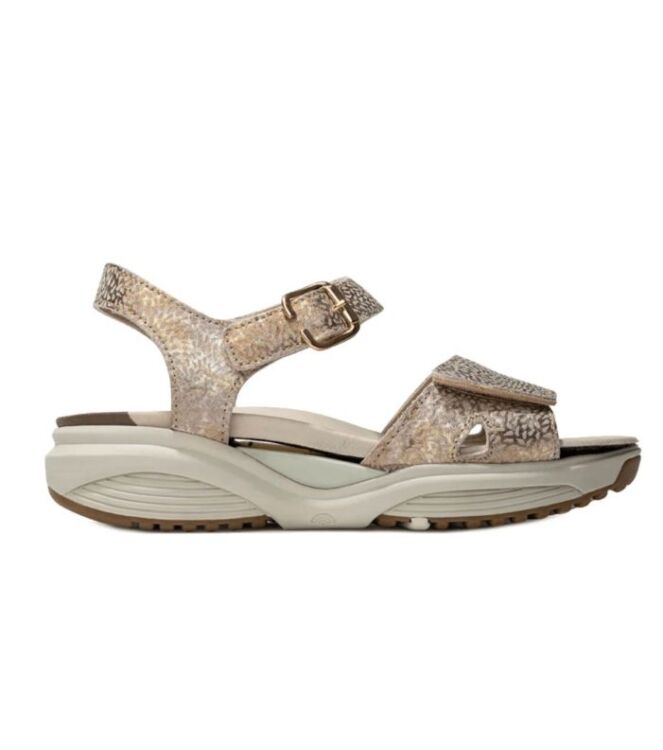 Xsensible sandalen dames new arrivals