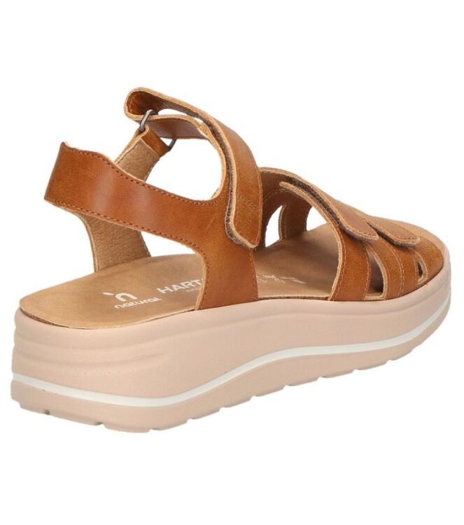 Hartjes 132.2004/10 53.00, sandalen Direct leverbaar uit de webshop 