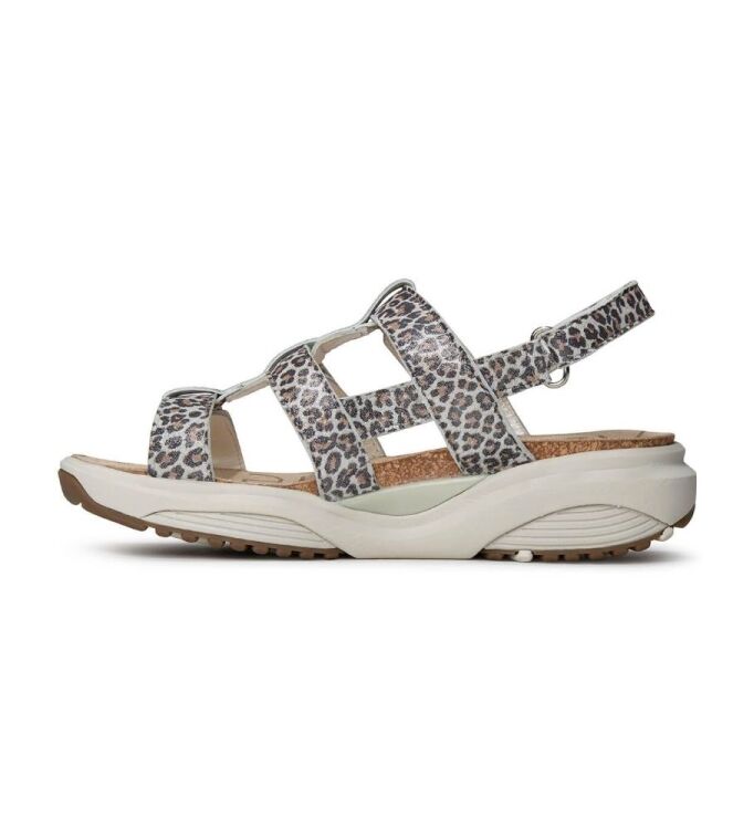 Xsensible Stretchwalker 30321.5.625, sandalen Direct leverbaar uit de webshop 