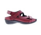 Kleur Rood