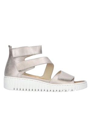 Waldlaufer Willow stein 