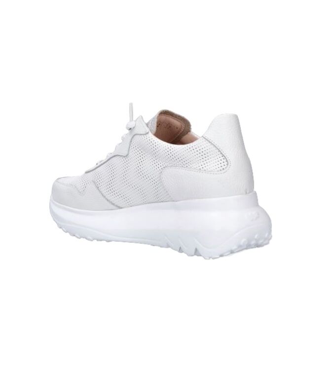 Wonders A-4021, sneakers / veterschoenen Direct leverbaar uit de webshop 