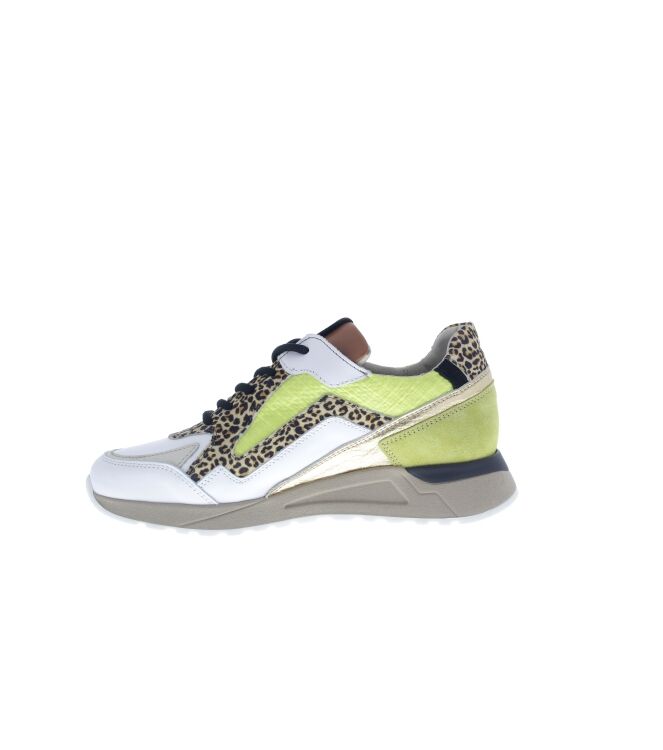 Piedi Nudi 2507-17.11PN, sneakers / veterschoenen Direct leverbaar uit de webshop 