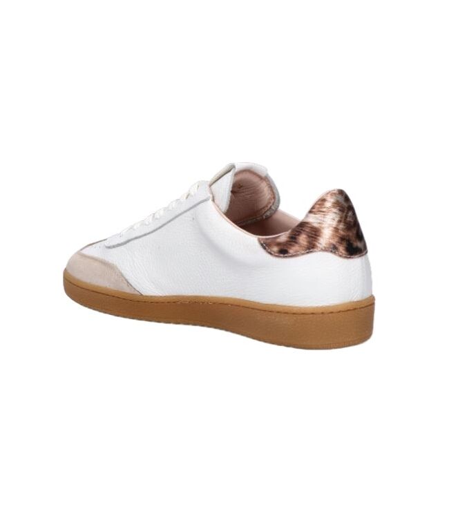 Wonders AP-2001, sneakers / veterschoenen Direct leverbaar uit de webshop 