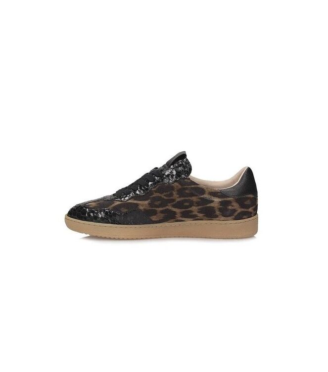 Wonders AP-2010, sneakers / veterschoenen Direct leverbaar uit de webshop 
