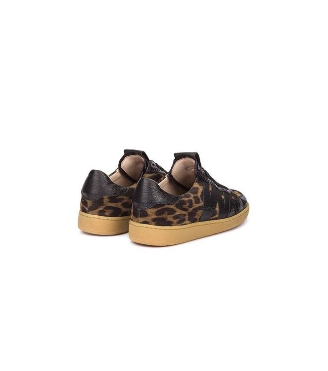 Wonders AP-2010, sneakers / veterschoenen Direct leverbaar uit de webshop 