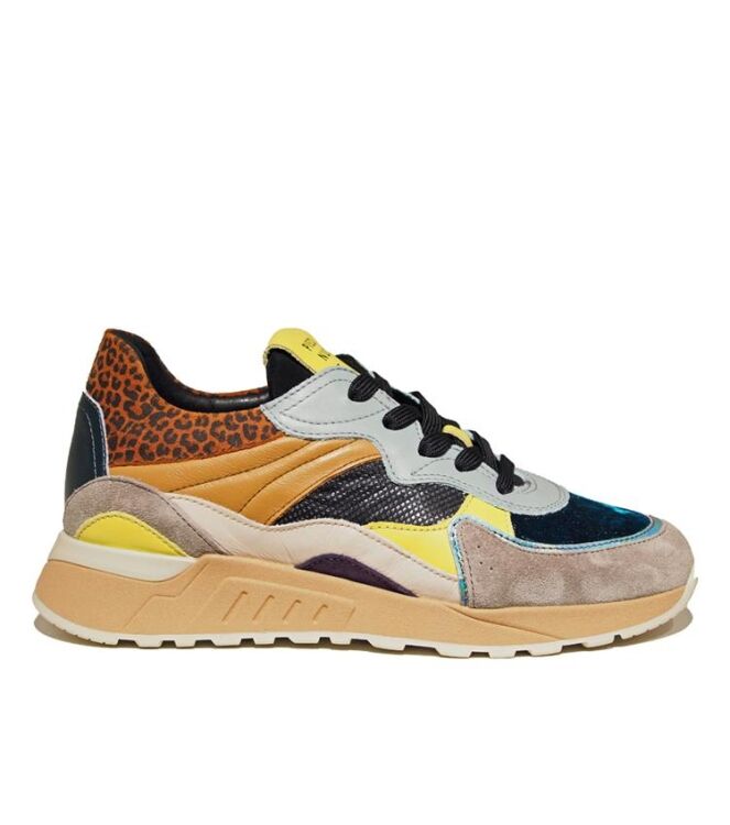 Piedi Nudi 2507-11.21, sneakers / veterschoenen Direct leverbaar uit de webshop 