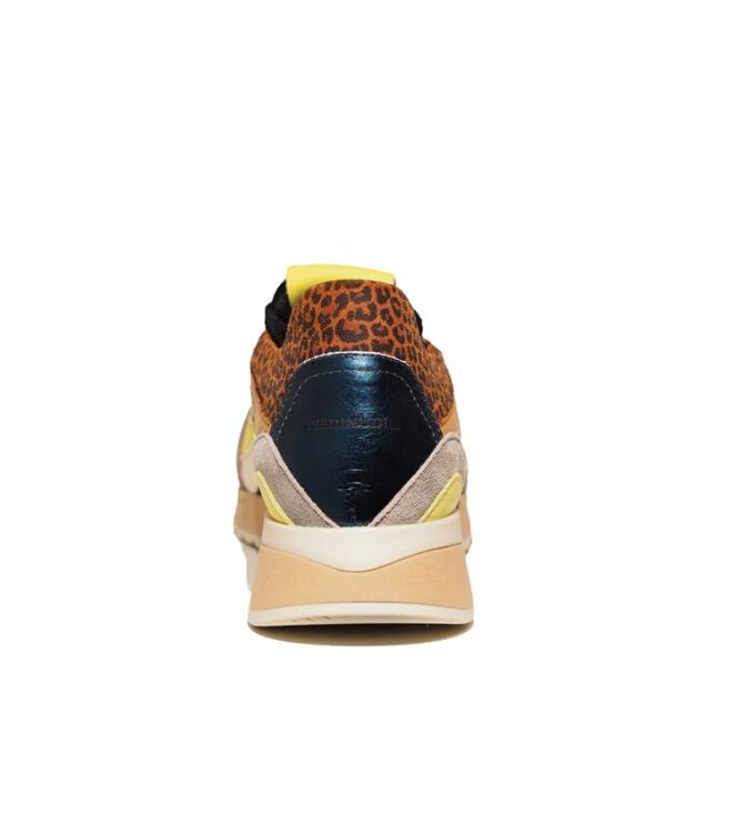 Piedi Nudi 2507-11.21, sneakers / veterschoenen Direct leverbaar uit de webshop 