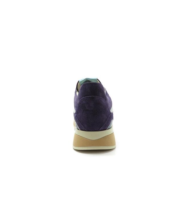 Piedi Nudi 2507-11.22, sneakers / veterschoenen Direct leverbaar uit de webshop 