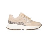 Kleur Beige / Bruin