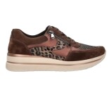 Kleur Beige / Bruin