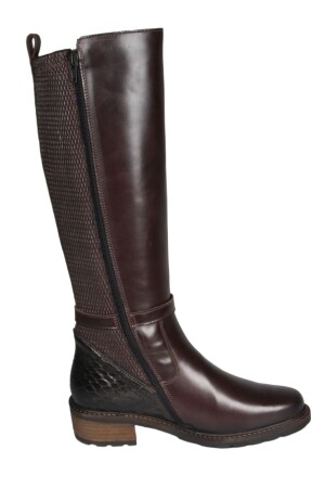 Solidus Kinga crocco 