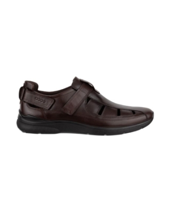 Ecco Irving potting soil
