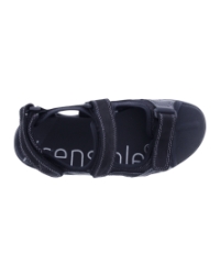 Timor black