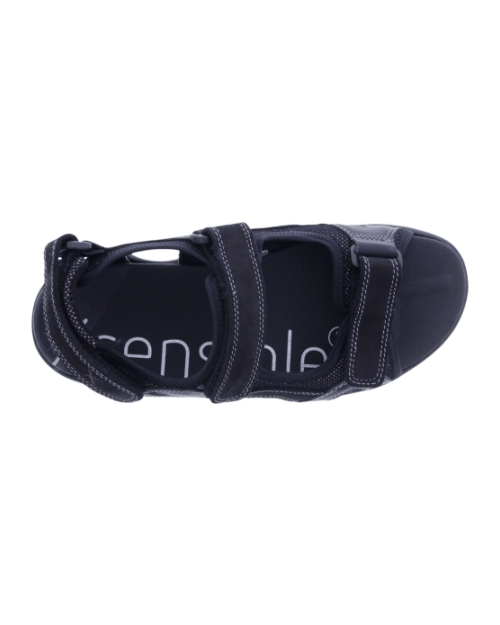 Timor black
