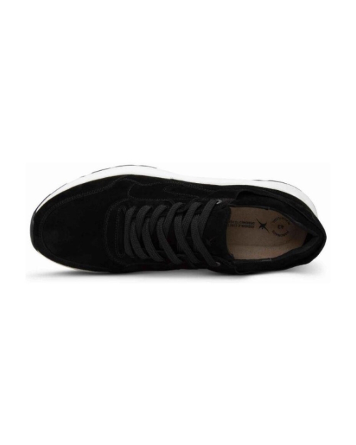 Golden Gate Men black