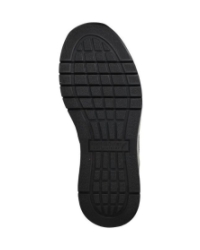 Anton schwarz