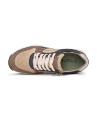 SWX 29 dark taupe combi