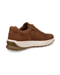 Byway 2.0 camel