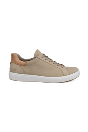 Bruin 
