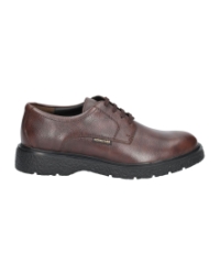 Eddy nevada