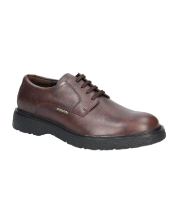 Mephisto Eddy nevada