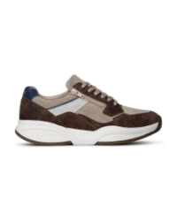 SWX14 brown