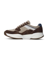 SWX14 brown