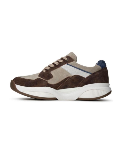 SWX14 brown