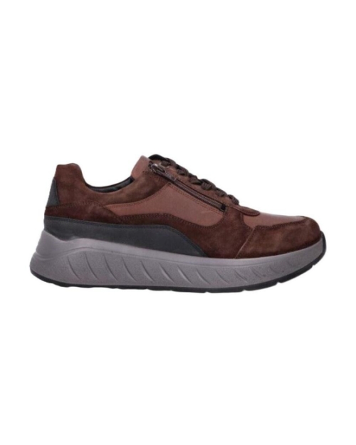 Ken Camoscia moro multi