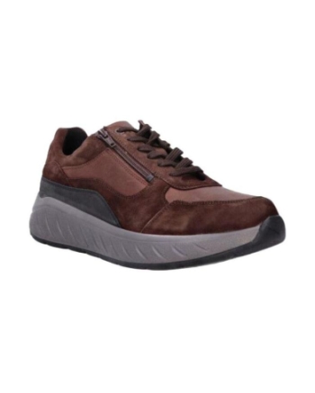 Solidus Ken Camoscia moro multi