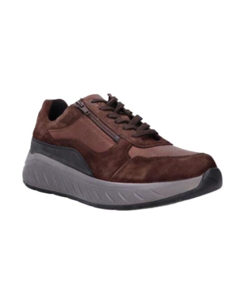 Ken Camoscia moro multi