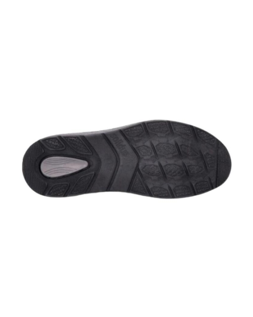 Ken Camoscia moro multi