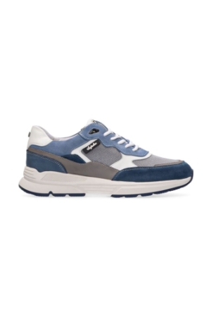Blauw 