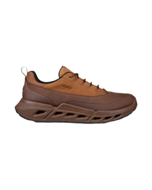 Biom 720 M Goretex cocoa brown