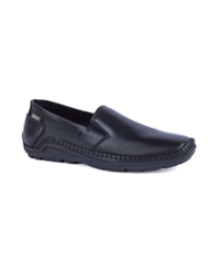 Azores black