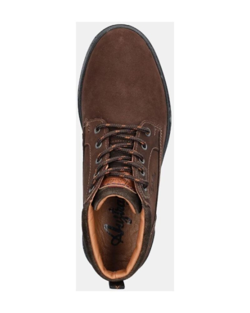 Middelburg brown