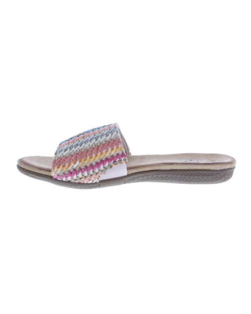 multicolour
