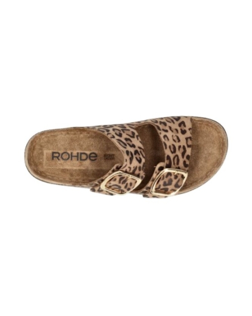 Rodigo-D ginger