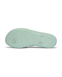 iQushion Ergonomic mint whisper