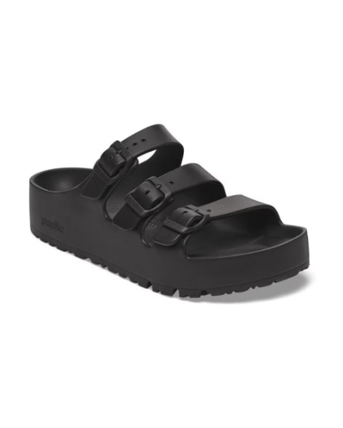 Florida Papillio black